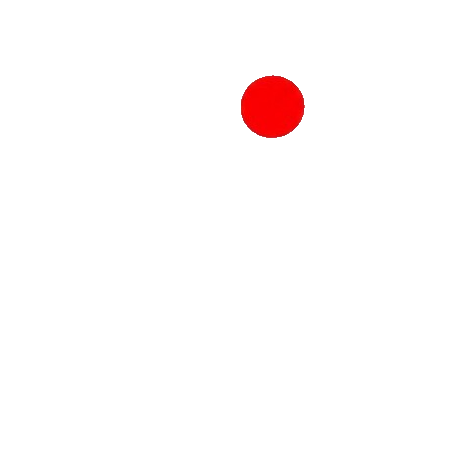 GoGoUmi paradise ロゴマーク